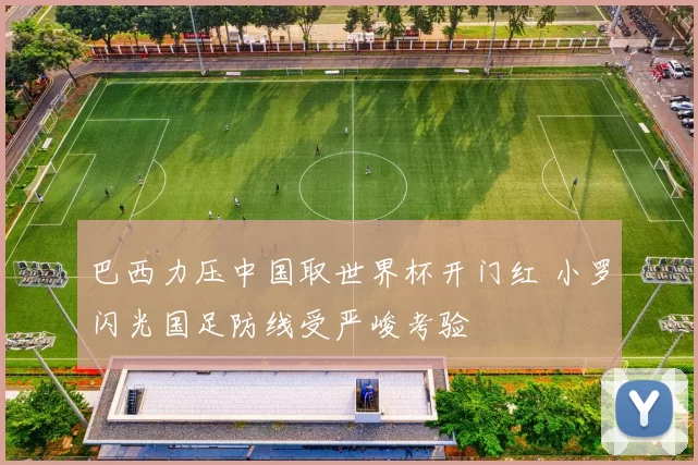 巴西力压中国取世界杯开门红 小罗闪光国足防线受严峻考验