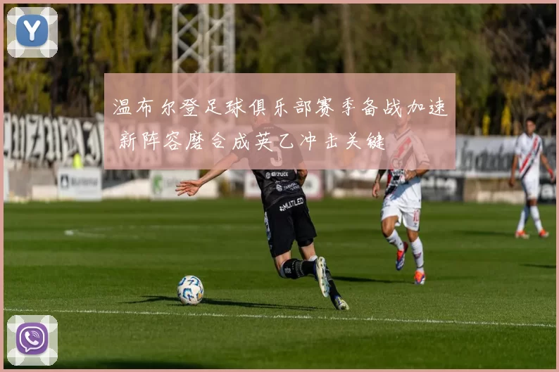温布尔登足球俱乐部赛季备战加速 新阵容磨合成英乙冲击关键
