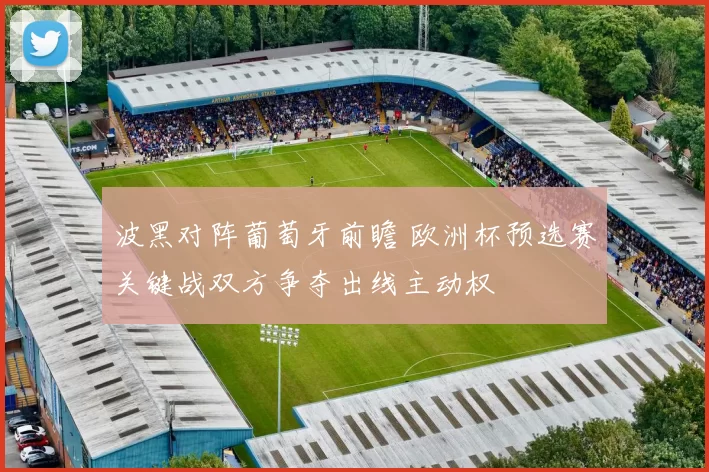 波黑对阵葡萄牙前瞻 欧洲杯预选赛关键战双方争夺出线主动权