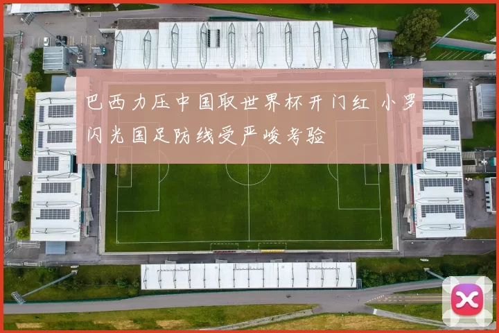 巴西力压中国取世界杯开门红 小罗闪光国足防线受严峻考验