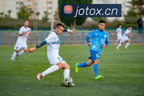 b sports官网登录入口APP 封面图